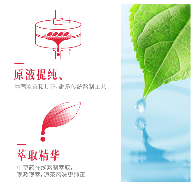 和其正 0糖0脂0卡 凉茶 550ml*15瓶 清凉消火 图5