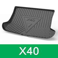 Pentium x40 EV460 Новая энергия [19-21] Специальная