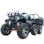 Big bull bãi biển trục lái xe địa hình off-road xe máy nông dân karting giải trí nông nghiệp với trailer - Xe đạp quad xe đạp điện trẻ em