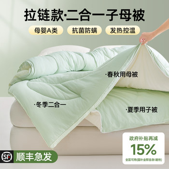 Two-In-One Zippered Quilt, Quilt Core, Double Thickened Winter Quilt, Spring and Autumn Quilt, Winter Cotton Quilt, Suitable for All Seasons