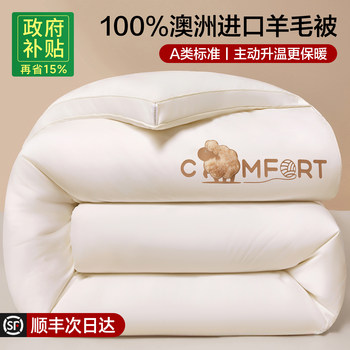Class a Australian Imported Wool Quilt 100% Pure Wool Winter Quilt Thickened Warm Cotton Quilt Core for Winter
