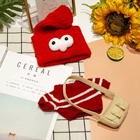 Красная шляпа попугая+красный и белый полосатый свитер+белая сумка