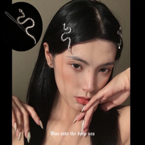 European and American style retro hairpin female ins creative silver snake hairpin dark wild personality cold wind edge clip tide