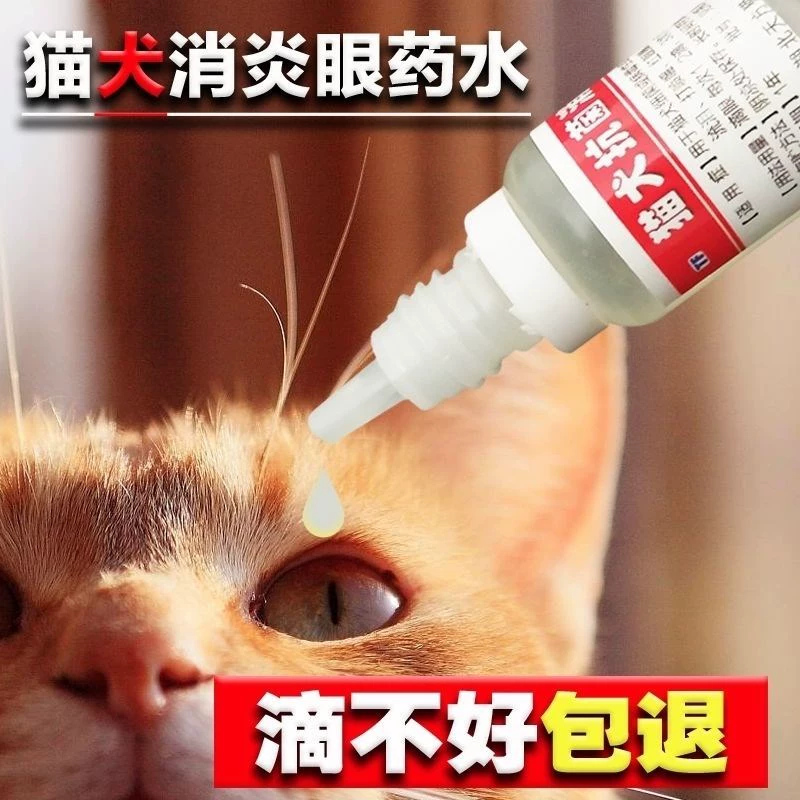 Thuốc nhỏ mắt mèo nước mắt mèo thuốc mắt mèo chi nhánh mũi mèo sưng mắt mủ mắt sạch thuốc nhỏ mắt đỏ mắt - Thuốc nhỏ mắt
