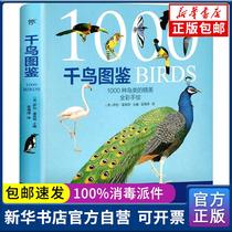 Genuine Thousand Birds Photos of Sarah Hogt China Friendship Publishing Company 9787505747869 Coptic Books Books