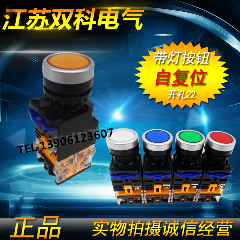 Jiangsu Shuangke (formerly Shanghai Shuangke) with light button switch LAY50-22D-11D reset