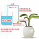 Adjustable lazy ອັດຕະໂນມັດ flower watering ອຸປະກອນ drip ຊົນລະປະທານ dripper ຜັກ watering balcony ເຮືອນນ້ໍາທໍ່ນ້ໍາ seeper flower shower