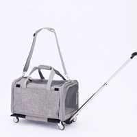 Светло-серый