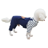 Summer Tide Brand милый весенний четырехморт -питомник