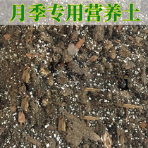 The self-aligning yue ji tu nutrient soil peat song lin perlite love bei shi slow-release fertilizer formula 6L 1 1kg around
