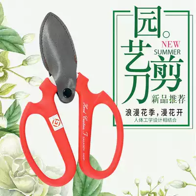 Sakamoto flower scissors, Japanese branch scissors, potted scissors, imported flower knife, florist tool, gardening scissors