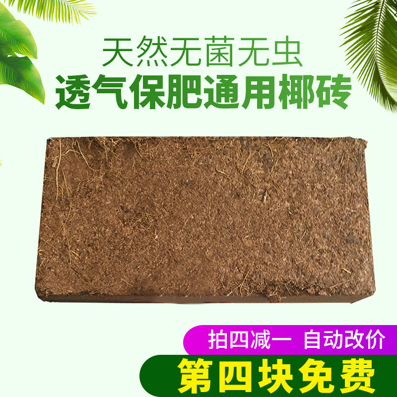 Large Forest Men's Earth Cultivar Coconut Broccoli Coconut peat Nutritious Native Varieties of Cultivated Flowers to be imported