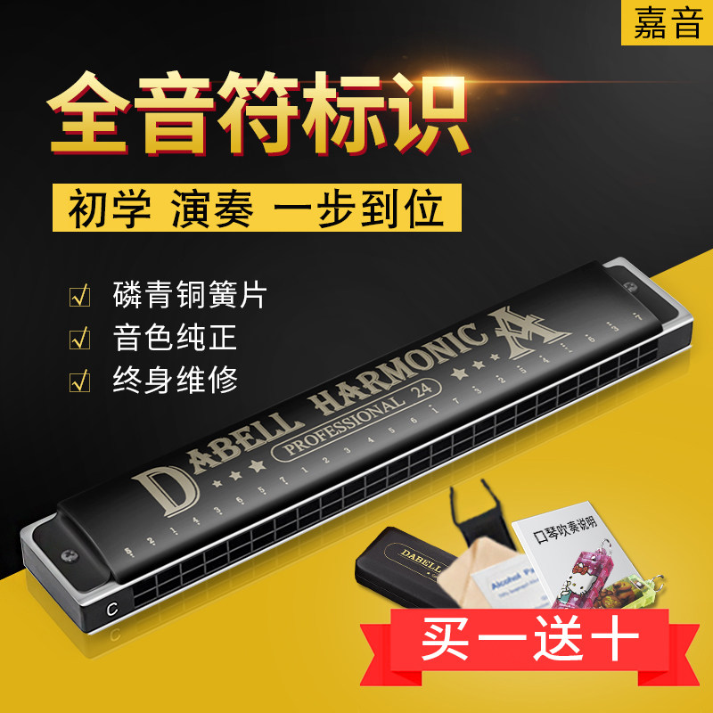 Professional gong 24-hole polyphonic full-tone logo harmonica professional performance level entry-level children's self-learning beginners - Taobao