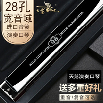 German import sound spring swan 28 holes harmonica retone C tone accent adult beginners male and female professional playing level