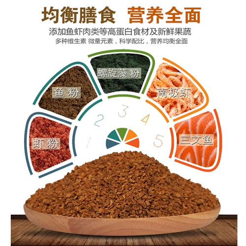 Тонущая рыба пища кои рыбы кормит кровь попугай кошка кошка, тонущая цихлид маленький виноград маленький виноград Общее виноград