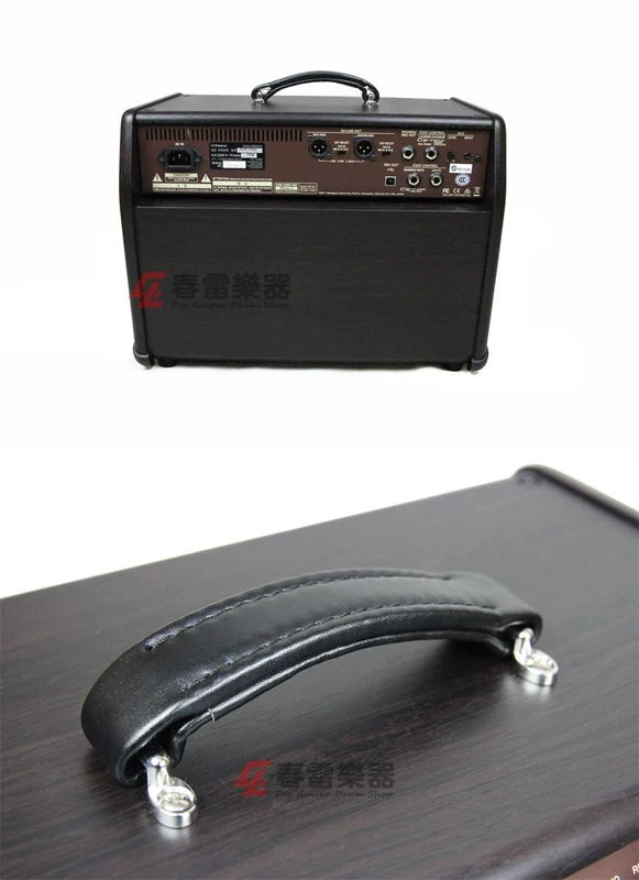 Ca sĩ Acoustic Guitar Roland Ros Boss ACS-Live Pro - Loa loa