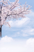 Ancient background cloth cherry blossom tree background cloth costume background photography background cloth live room background wall cloth Hanfu