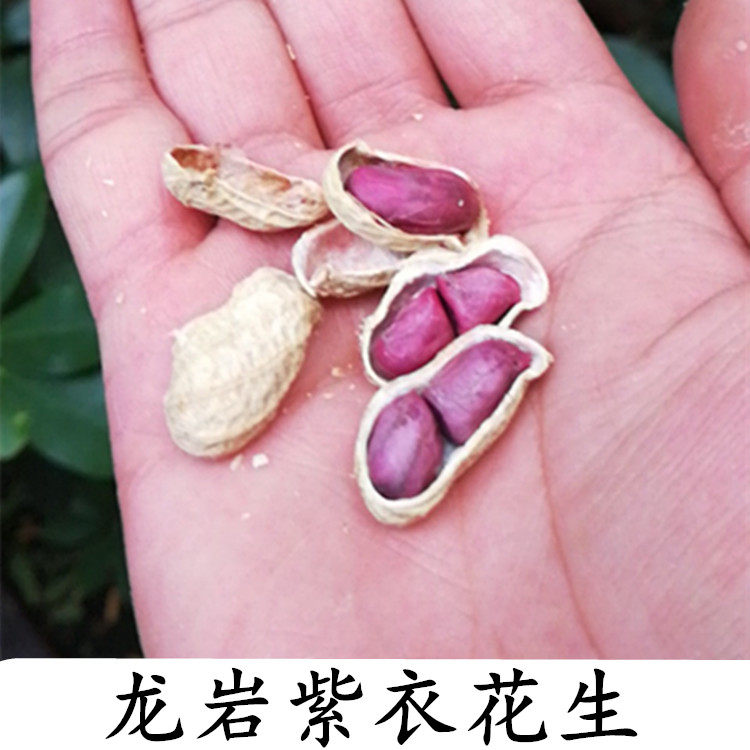 500gx3 Jin Dragon Rock Water Cooking Peanut Salty Dry Saline Purple Clothes Wet Roasted Aroma Crisp Bulk Fujian Special Nuts