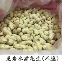 Longyan new boiled peanut white sun-dried boiled salt dry salt dry original taste 500gx2 bag loose farmhouse nut specialty snacks
