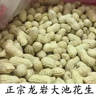 500gx3 Longyan Dachi boiled peanuts wet roasted salty and dried crispy bulk Fujian specialty New Year nuts