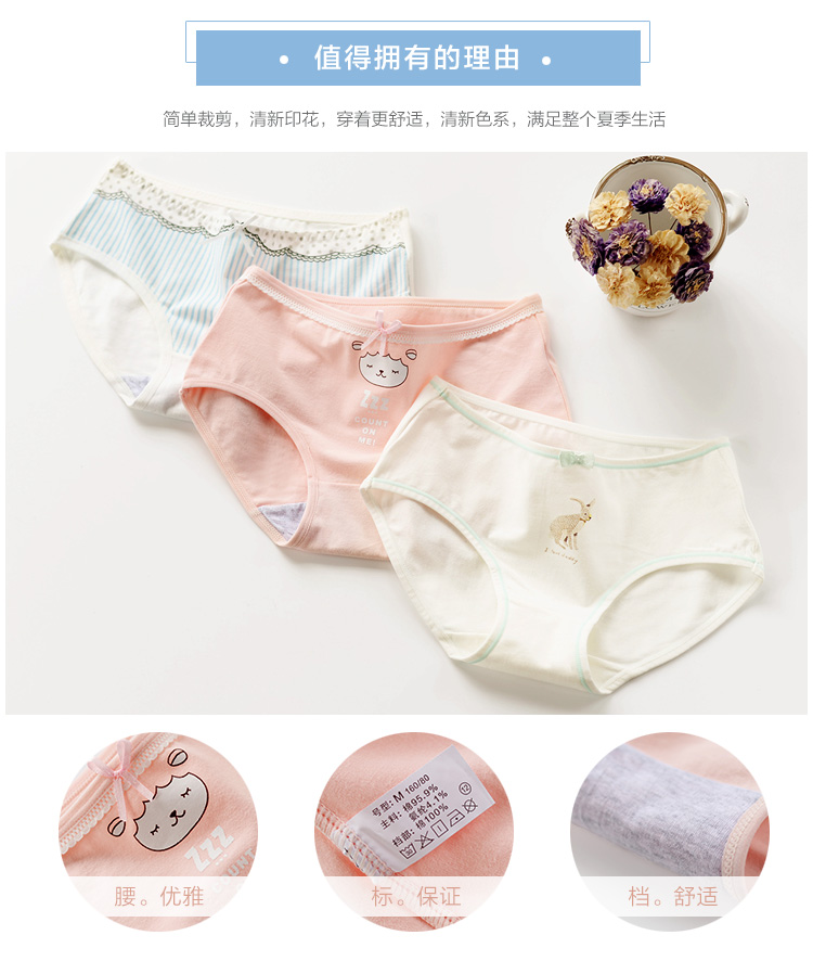 Slip jeunesse KZ307 en coton - Ref 666658 Image 10