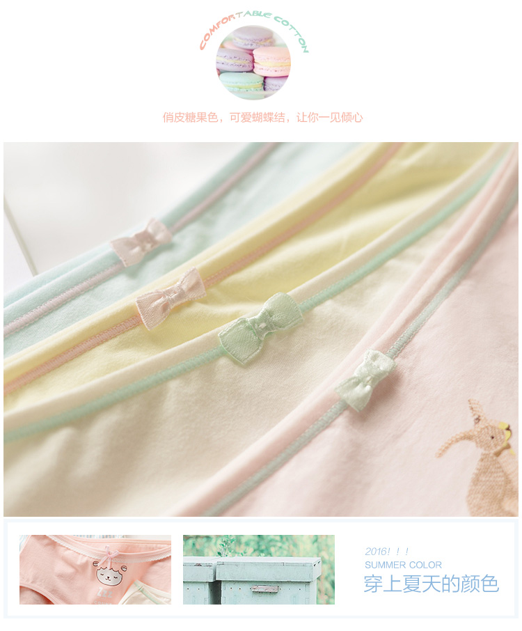 Slip jeunesse KZ307 en coton - Ref 666658 Image 8