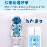 Германия Boravarb Multi -Motion Adult Dual -Effect Electric Electric Electric Electric Electric Electric Electric Electric Electric Electric Electric щетка для очистки батареи щетки