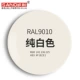 Ral9010 Pure White
