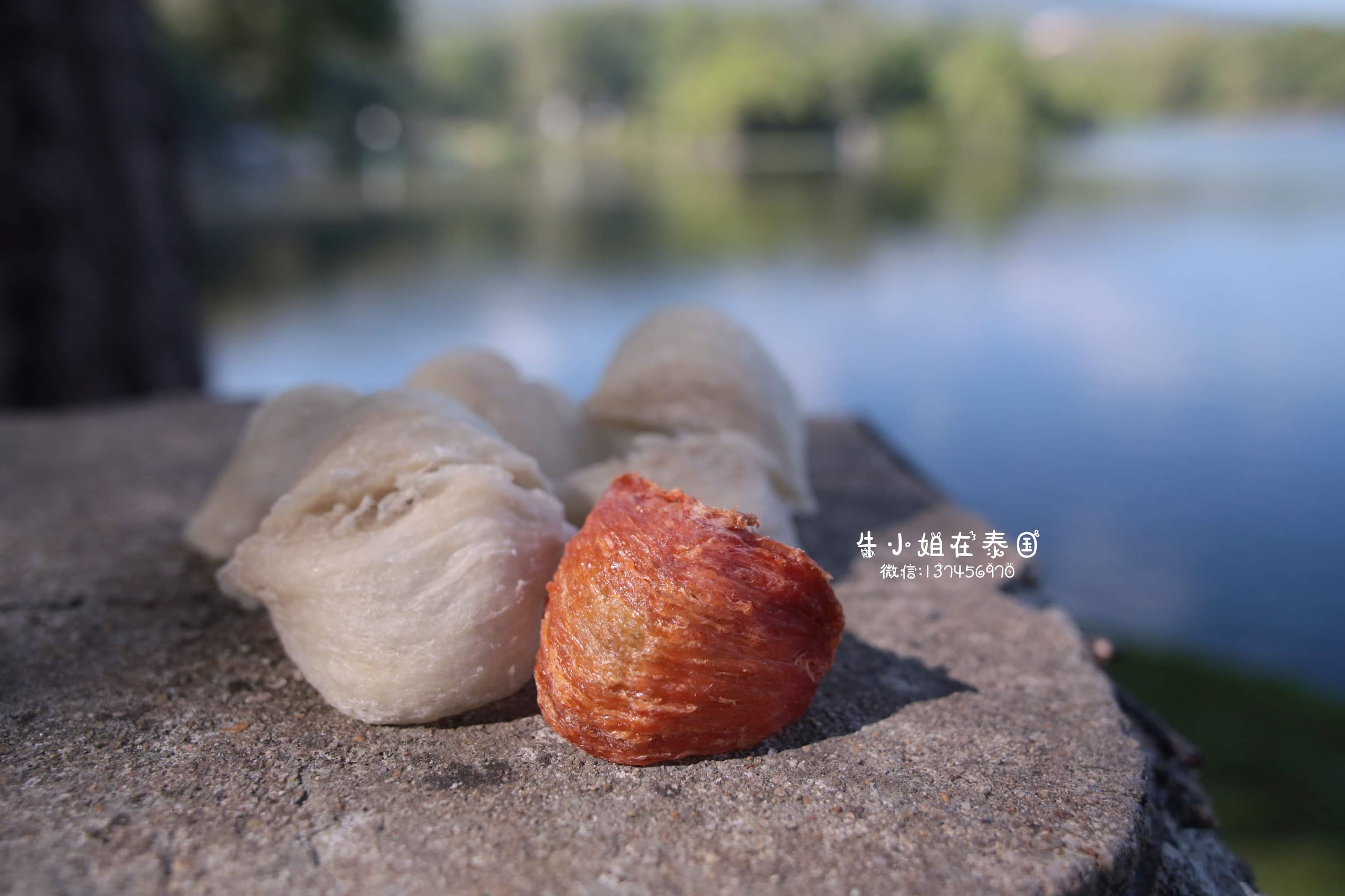 Miss Bull Christmas High-Product Limited Cave Yan's Nestle House Cave Thailand Malay Malay Done Fire Rough and Feed Imports