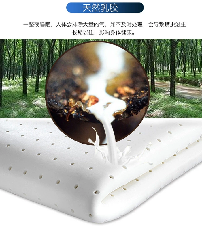 Yu Lan già kiệm Palm nệm 1,5 m 1,8 m đôi dừa cọ cọ đầy đủ latex nệm cứng nhắc hơn mat - Nệm nệm gấp 1m6