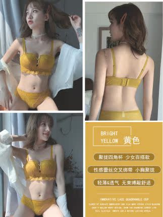 Sexy đồ lót nữ đồ lót ren một tập hợp các vòng thép miễn tụ tập để điều chỉnh chén kem áo ngực nhỏ.