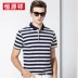 Hengyuanxiang mùa hè mới màu xanh lá cây người đàn ông trung niên của ngắn tay t-shirt cotton polo áo ve áo sọc kinh doanh người đàn ông giản dị của quần áo