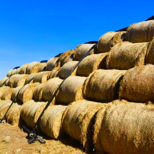 Hay Bales, Dried Straw, Farmhouse Straw Decorations, Square and Round Hay Stacks, Landscaping Scene Shooting Props