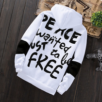 Spring cardigan baseball suit Mens Korean slim spring and autumn hoodie couple sweater trend mens jacket