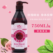 Rose essential oil whole body massage oil push back scraping pass Meridian push oil massage open back bboil beauty salon Universal