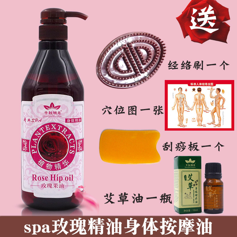 Rose Essential Oils Body Massage Oil Full Body Pushback Meridians Meridians Pushback Oil Beauty Institute Pushback Scratching Open Back Base Oil