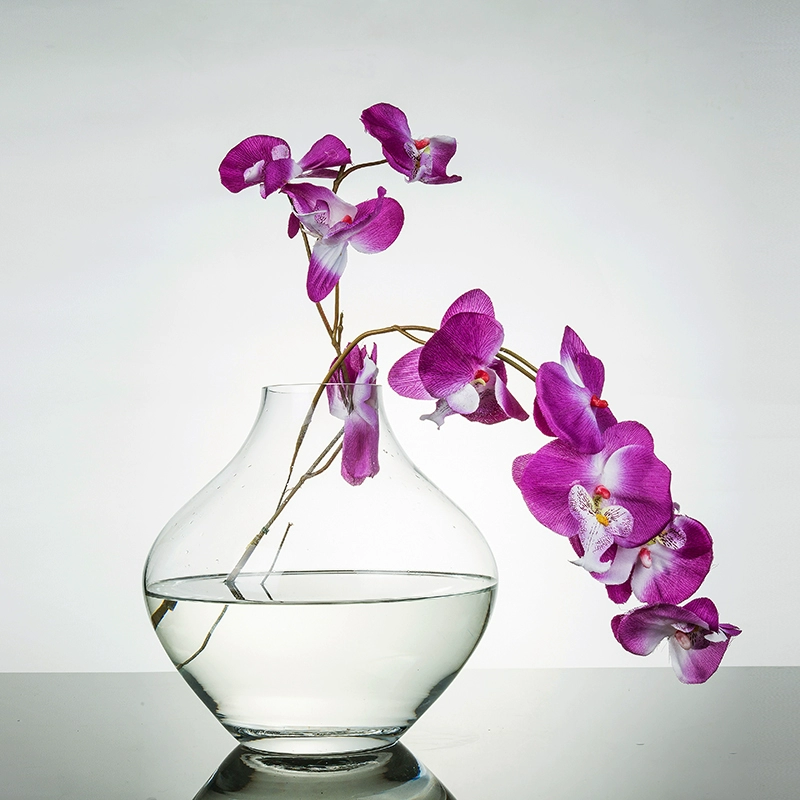 Bình thủy tinh pha lê không chì xuất khẩu mới của Mingrui, bể cá, giá đỡ hoa củ hành, đồ trang trí sân vườn đơn giản theo phong cách châu Âu, phiên bản giới hạn - Vase / Bồn hoa & Kệ