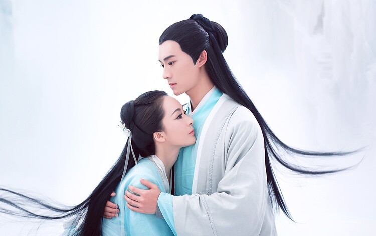 Extension cheveux - Chignon - Ref 229147 Image 16