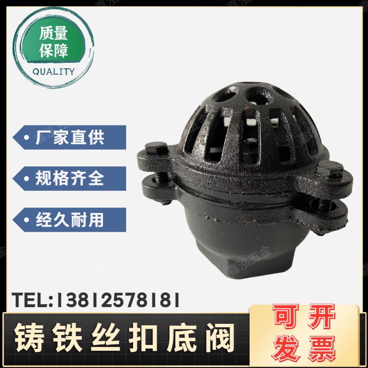 Cast iron wire buckle valve One - way check valve inner thread pump valve pumping pump base valve DN20 25 40 50 65 80