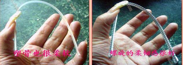 Corset - Ref 673990 Image 12