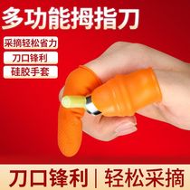 Qingbaijiang picking artifact picking vegetable thumb knife multifunctional hand guard tool armor sharpener