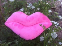 Роза красная