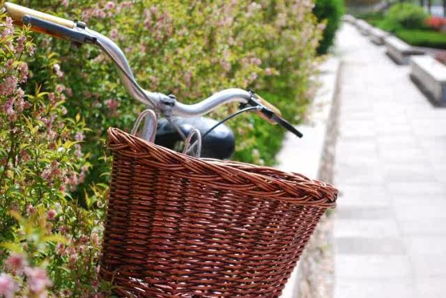 Panier pour vélo - Ref 2258030 Image 12