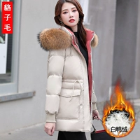 Ми Бай (毛 貉 米))