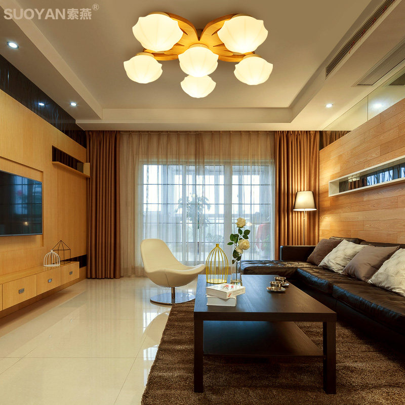 ����led������suoyan-8218