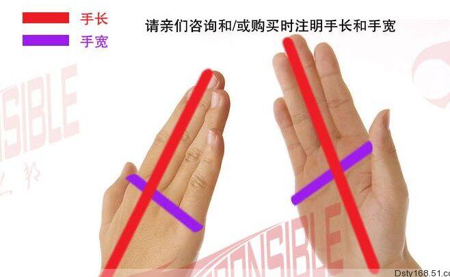 Protection sport - Ref 584717 Image 7