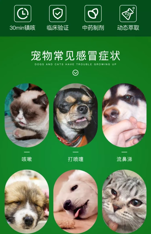 Huizhong cảm thấy Kang pet chó thuốc cảm lạnh chó con chảy nước mũi ho viêm phế quản mèo hắt hơi sốt thuốc - Cat / Dog Medical Supplies