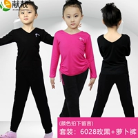 6028 (воротник куриного сердца)+набор брюк/цветовое сообщение