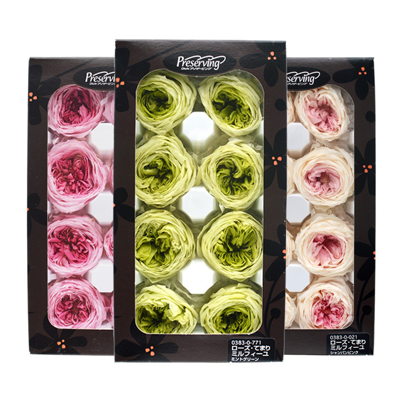 (03830 Austin Rose) Immortal Flower DIY Japan Earth Garden Austin Rose Whole Box