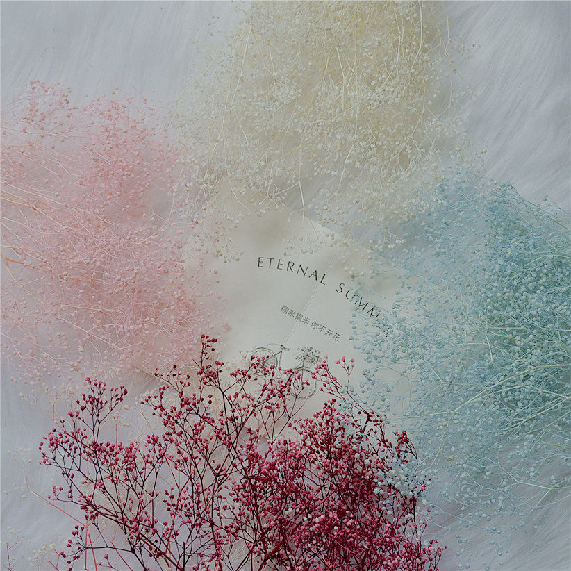 Small flowers, xiacao, small baby's breath, immortal flowers, diy material package, round fan, handmade wedding shoe box, doctor's graduation cap